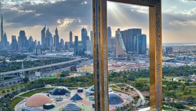 dubai_frame-Dubai-Safari-Park