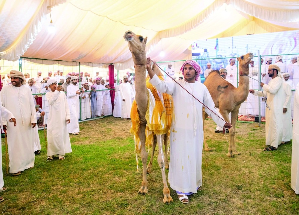 Bidiyah camel festival