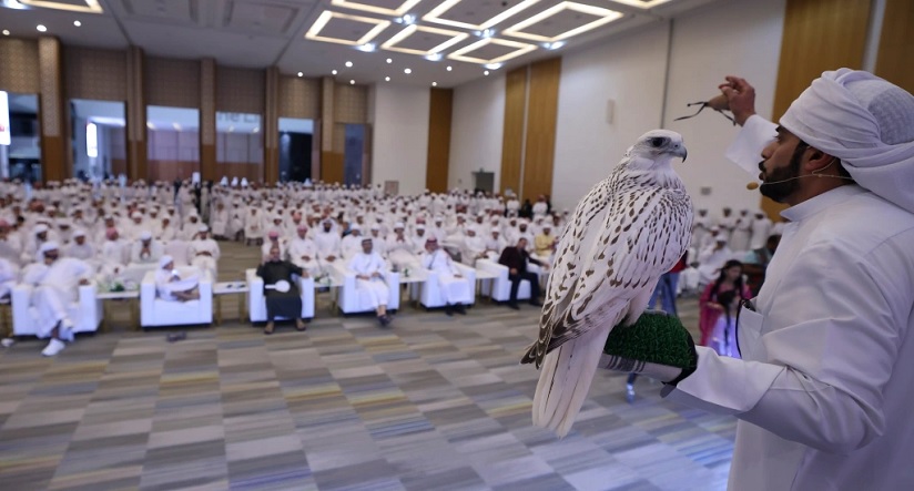 Falcon Auction
