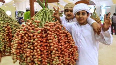 Liwa date festival