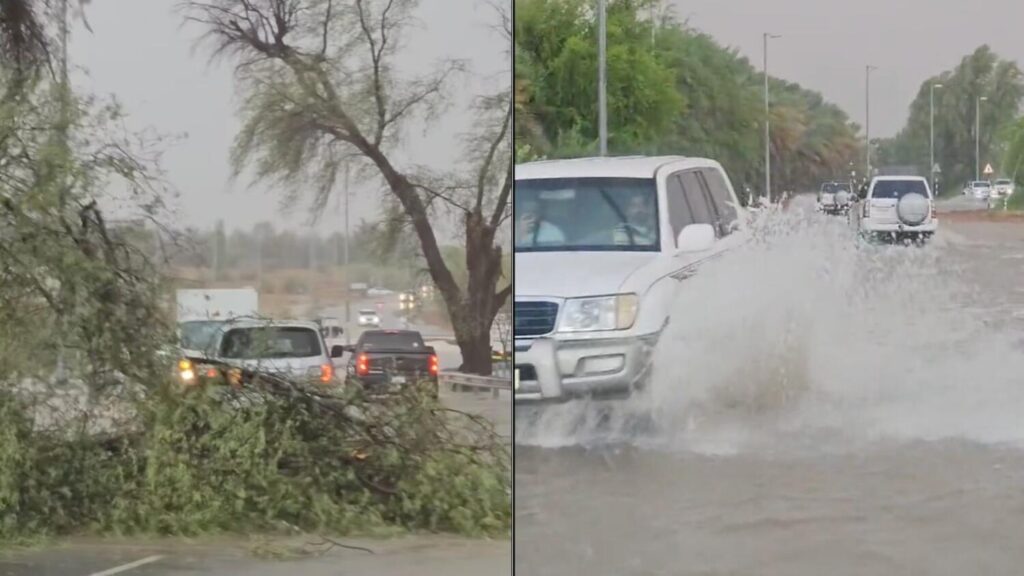 Rain in uae