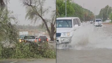 Rain in uae