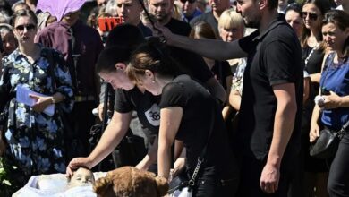 Russia and Ukraine war