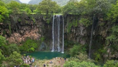 Over 924,000 tourists visit Khareef Dhofar by end of August 2023