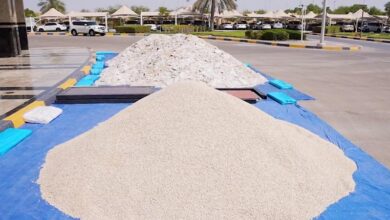 Sharjah: 551 drug traffickers and promoters arrested in 2023