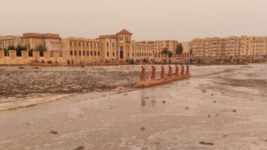 flood in Algeria