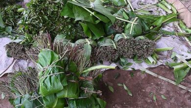 Six foreigners arrested for trying to smuggle 90 kg cut