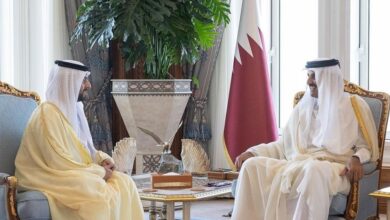 UAE Ambassador presents credentials to Emir of Qatar