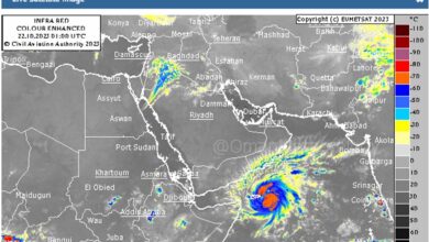 2-day holiday declared for public, private sectors in Oman's Dhofar region due to Cyclone Tej