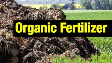 Salalah plant plans to produce 100,000 tonnes of organic fertilizer