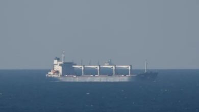 Turkish cargo ship with 12 crew sinks off Black Sea coast