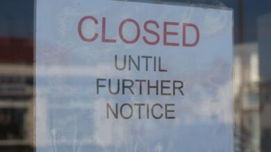 Popular cafe closes after bugs found in food preparation area