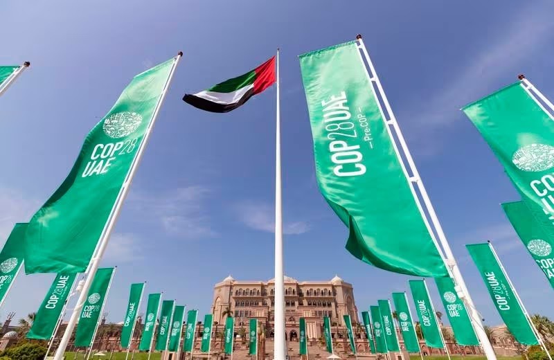 COP28: New streaming service to provide free access to films about the environment