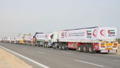 uae aid for gaza