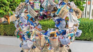 COP28: Artists create 'Wheel of Knowledge' using 2,000 books