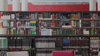 Mohammed Bin Rashid Library closed for second day due to inclement weather