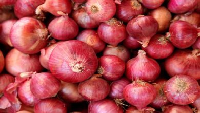 UAE: Will India lift export ban to lower onion prices?