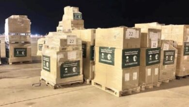 Saudi Arabia's 32nd aid plane arrived in Egypt