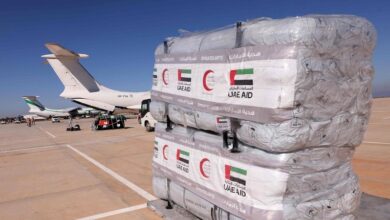 UAE announces 400 tons of food aid to Gazans