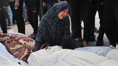 24,620 Palestinians killed in Israel-Hamas conflict