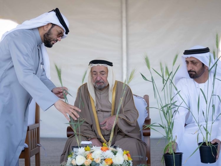Ruler of Sharjah inspecting agricultural operations at wheat farm