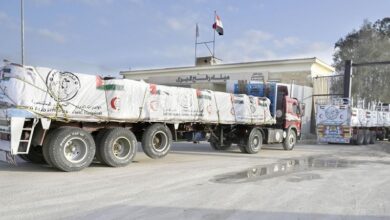 14-truckloads of relief supplies sent by the UAE entered the Gaza Strip