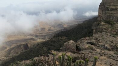UNESCO has renewed the Sultan Qaboos Prize for Environmental Protection for another six years