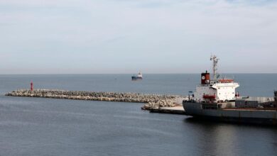 UAE ship Al Arish arrives with 4,630 tons of relief supplies