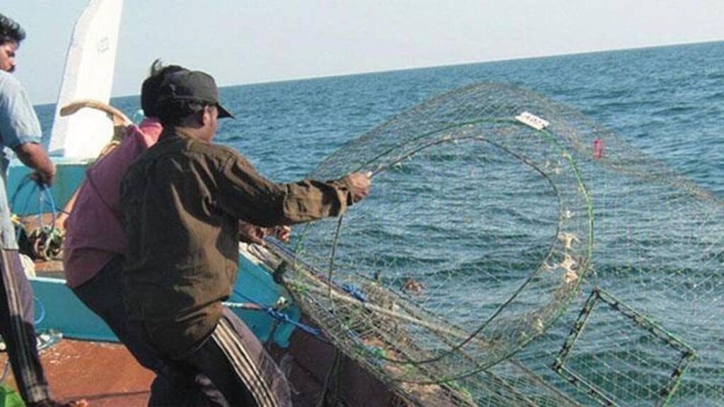 Two species of fish are banned in the UAE this month