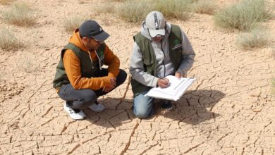 Saudi Center maps 246 areas to combat desertification!