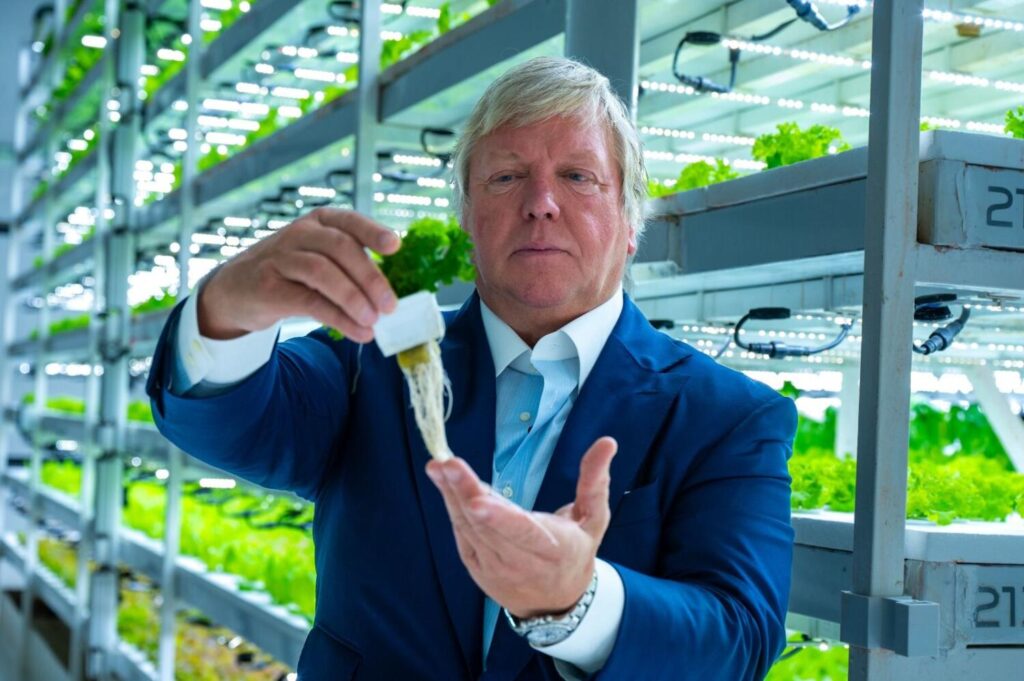 Many varieties of crops are grown in Dubai's vertical farm!