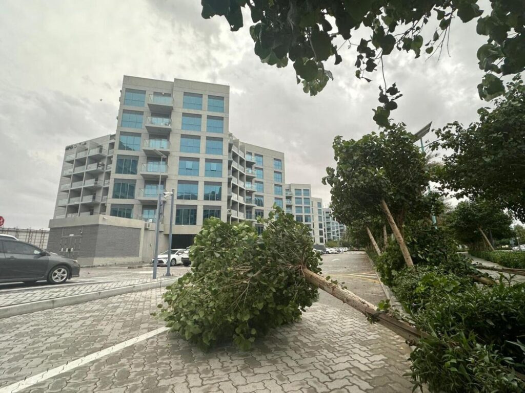 Yellow warning issued due to rough seas and strong winds