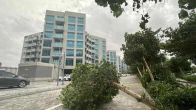 Yellow warning issued due to rough seas and strong winds