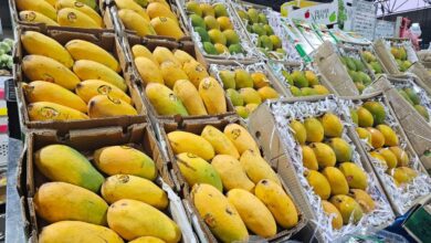 Local markets in the UAE are overflowing with Indian and Pakistani mangoes