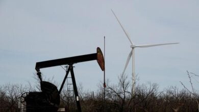 Oil prices fall as OPEC cuts demand forecast