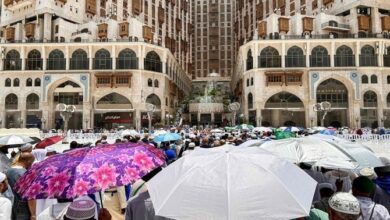 Turkey Pilgrim's Life Saved After Stroke!