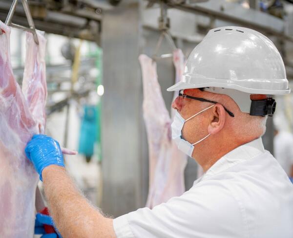 slaughterhouses