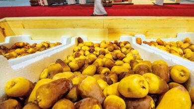 Al Tait Date Festival takes place from 25th to 28th July