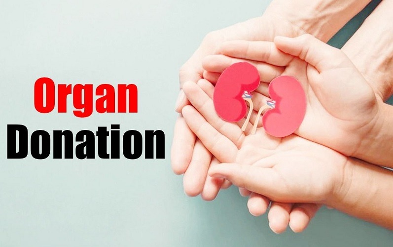 Saudi Arabia: 533,000 people interested in organ donation after death