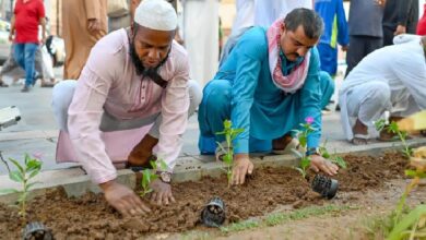 A project to plant 300 trees has started in Madinah