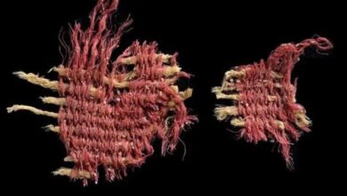 Israeli archaeologists discover earliest evidence of biblical scarlet dye