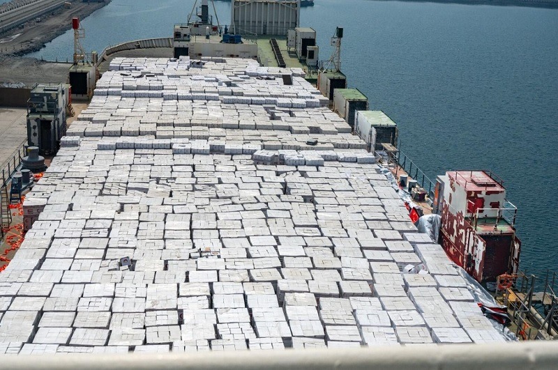 UAE sent largest aid shipment to Gaza