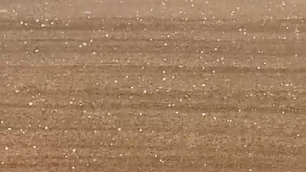 Mixed weather prevailed in UAE yesterday