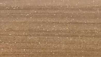 Mixed weather prevailed in UAE yesterday