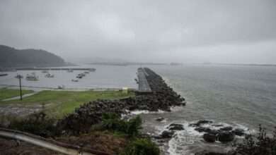 UAE warns citizens in Japan due to typhoon