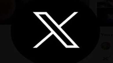 Social Media Site X Sudden Crash