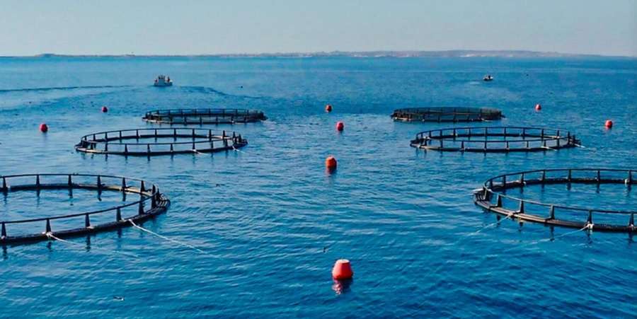 The aquaculture project started with six floating sea cages