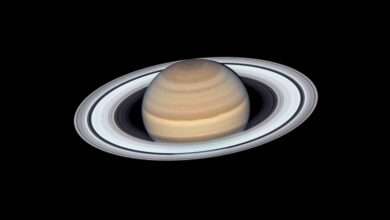 Saturn can be seen in the sky on September 8