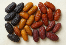 The World of Dates Fruit